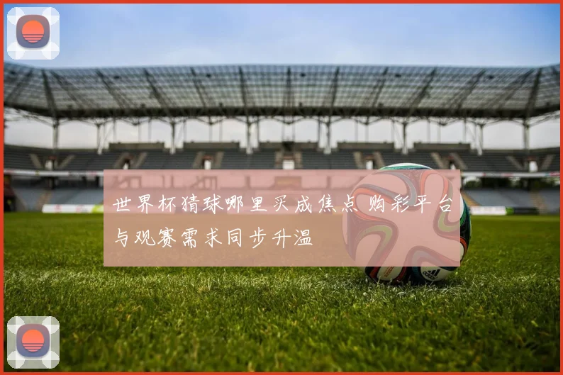 世界杯猜球哪里买成焦点 购彩平台与观赛需求同步升温