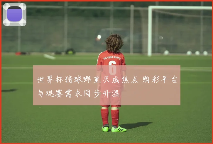 世界杯猜球哪里买成焦点 购彩平台与观赛需求同步升温