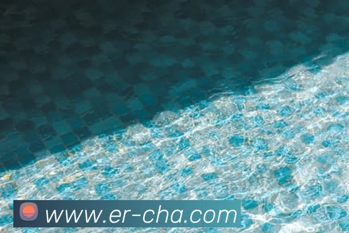 emc易倍全站网页版平台生态图