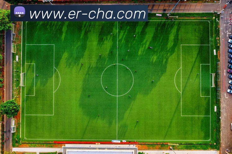 emc易倍全站网页版全站App emc易倍全站网页版全站App